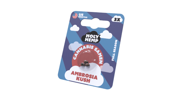Holy Hemp Cannabis Samen Full Season - Ambrosia Kush