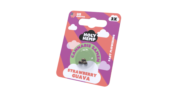 Holy Hemp Cannabis Samen Fast-Flowering - Strawberry Guava