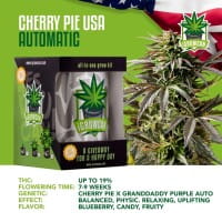iGrowCan Automatic - Cherry Pie USA