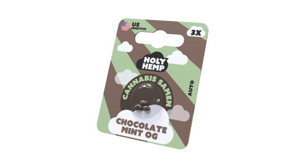Holy Hemp Cannabis Samen Auto-Flowering - Chocolate Mint OG